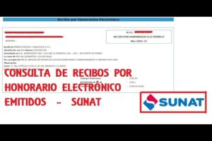 Ver recibo por honorarios emitidos SUNAT en Perú